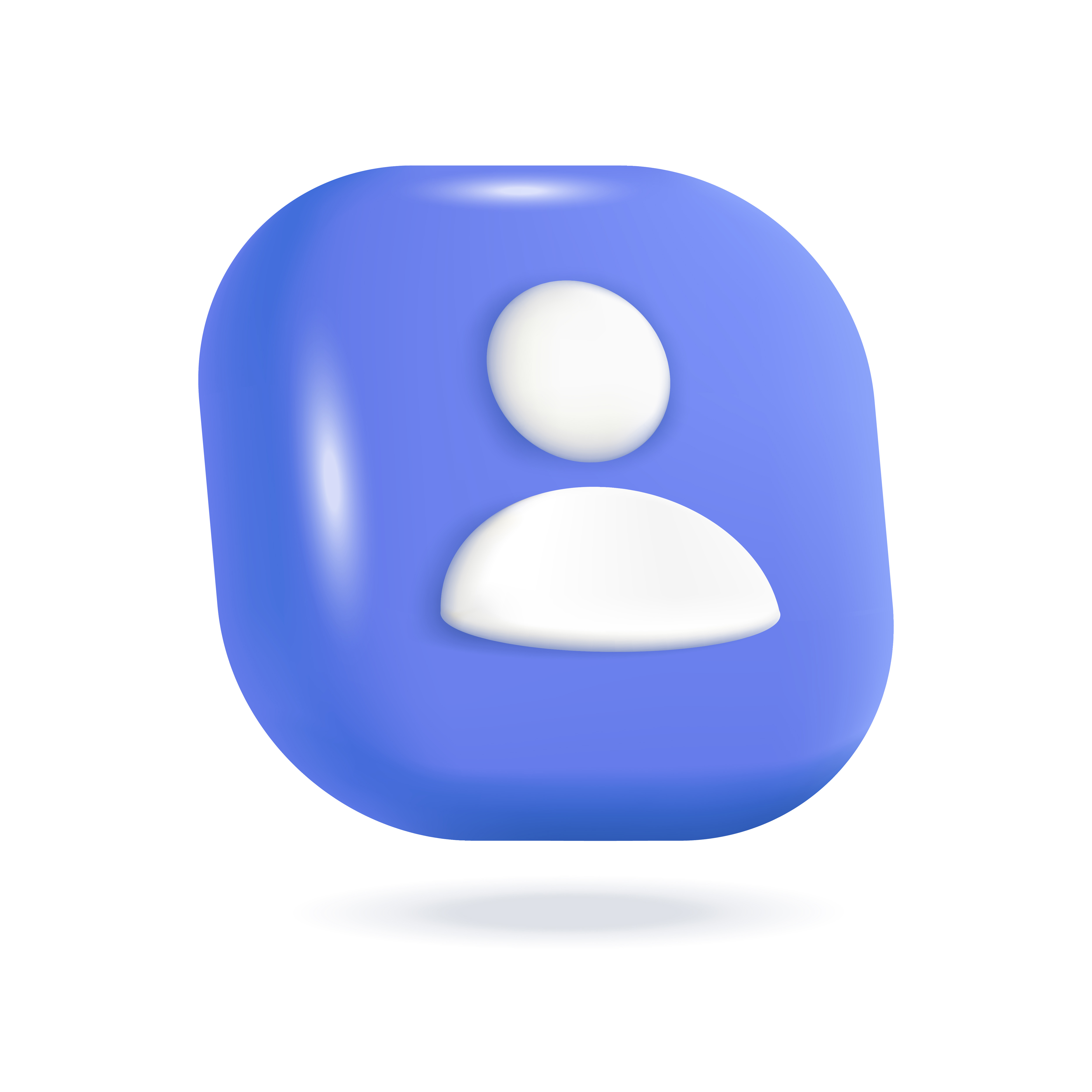 CEO Profile